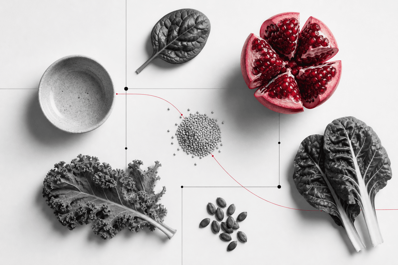 Pure ingredients arranged within a precise design system